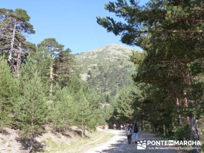 Calzada Romana - Senderismo fin de semana; rutas pedriza; ruta por madrid